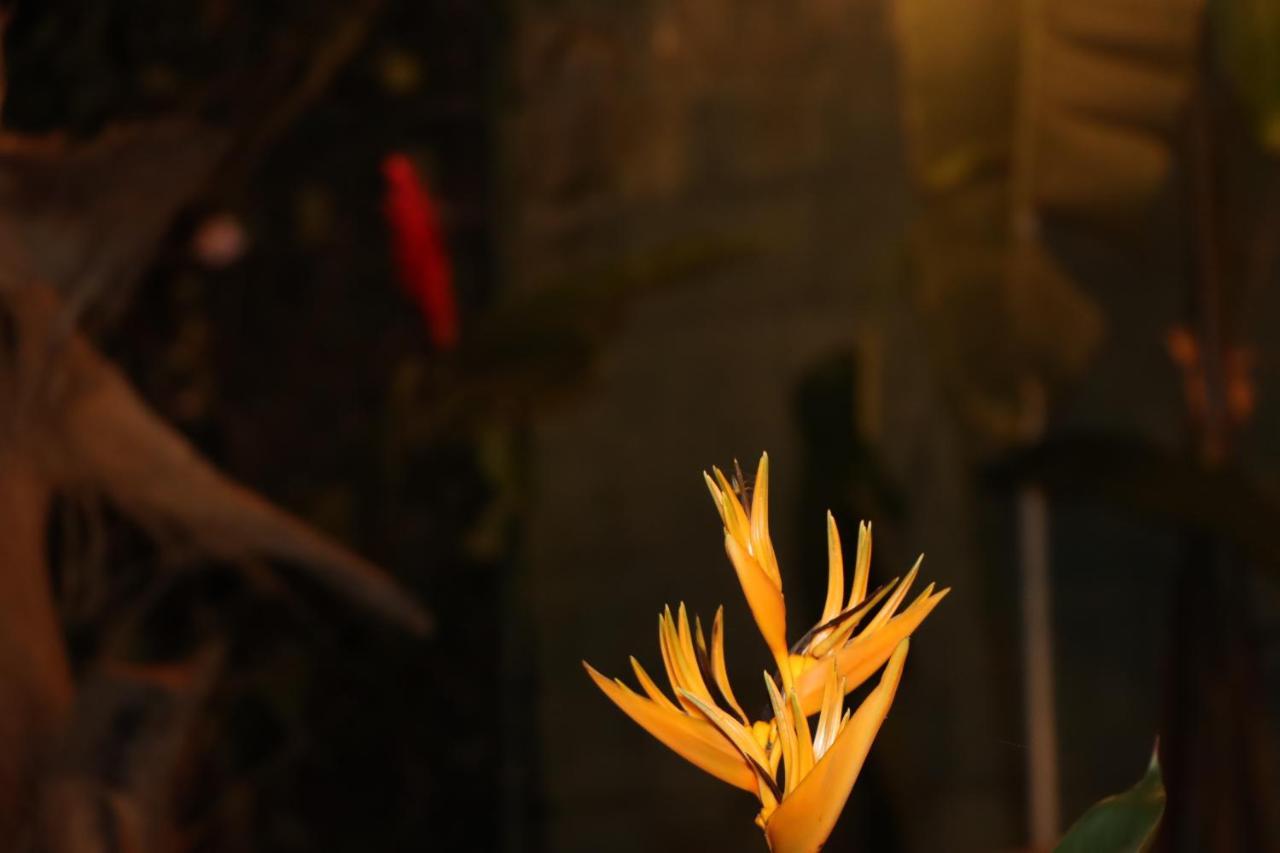 Colonial Residence แคนดี้ ภายนอก รูปภาพ